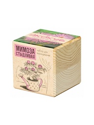 Игровые наборы Экокуб