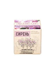 Игровые наборы Экокуб