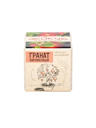 Игровые наборы Экокуб