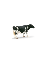 Фигурки-игрушки SCHLEICH