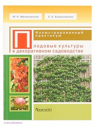 Книги Издательство Фитон XXI
