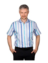 Рубашки GREG
