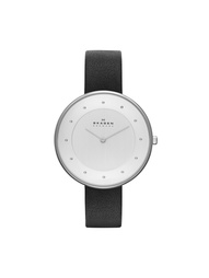 Часы SKAGEN