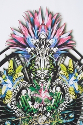 Хлопковая футболка Just Cavalli