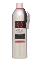 Шампунь с экстрактом гамамелиса Purifying Shampoo, 250ml Aldo Coppola