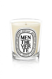 Свеча из парфюмированного воска Menthe verte Diptyque