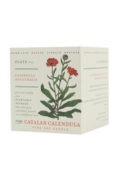 Ароматическая свеча Catalan Calendula 240гр. Kobo Candles