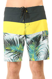 Шорты пляжные Billabong Tribong X Fronds 18 Haze