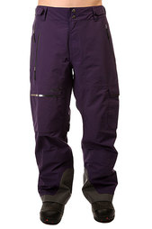 Штаны сноубордические Trew Gear Eagle Purple