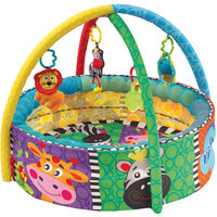 Развивающий активный центр "Цирк", Playgro