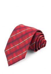 Галстук CARPENTER