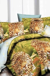 Постельное белье 2 сп. Сатин Французский стиль