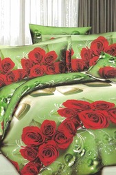 Постельное бельё 2 сп 50х70 BegAl