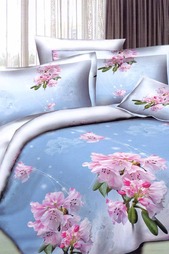 Постельное белье евро 50x70 Patrizia
