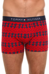 Трусы Tommy Hilfiger