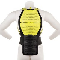 Защита Спины Для Катания На Горных Лыжах И Сноуборде Defense Back Ii Взр. Wedze