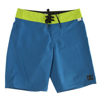 Шорты пляжные детские DC Trip Hoppin Snorkel Blue