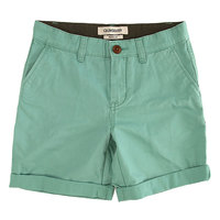 Шорты классические детские Quiksilver Evdaychinshy Beryl Green