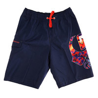 Шорты пляжные детские Quiksilver Logo Vl Y18 Logo Volley Navy Bla