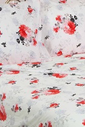 Постельное белье 1,5 сп. 70x70 Сова и Жаворонок