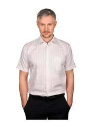 Рубашки GREG
