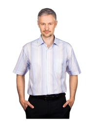 Рубашки GREG