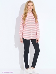 Рубашки U.S. Polo Assn.