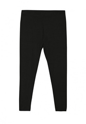 Леггинсы Dorothy Perkins Curve