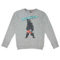Толстовка классическая детская Quiksilver Crew Bear Grey