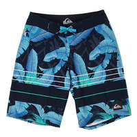 Шорты пляжные детские Quiksilver Riot Youth 18 Blue