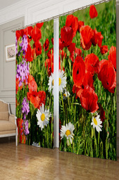 Фотошторы Сирень