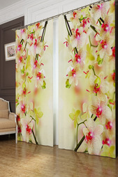 Фотошторы Сирень