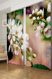 Фотошторы Сирень