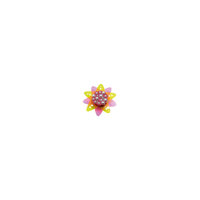 Украшение для сабо Crocs Translucent Flower - Stars