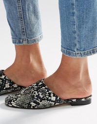 Туфли на плоской подошве ASOS MOTH - Snake