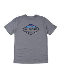 Футболка Patagonia