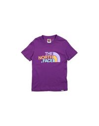 Футболка THE North Face