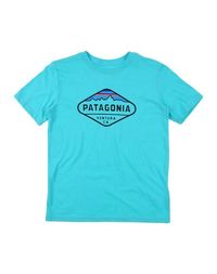 Футболка Patagonia