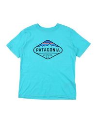 Футболка Patagonia