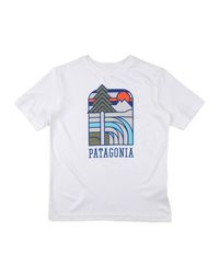 Футболка Patagonia