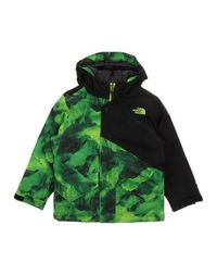 Куртка THE North Face
