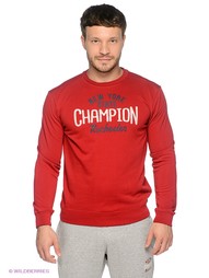 Джемперы CHAMPION