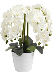 Искусственная орхидея Heine Home