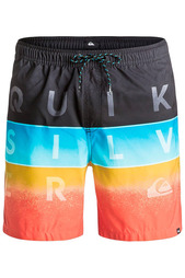 Шорты Quiksilver