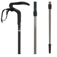 Палка Arpenaz 300 (1 Шт) Quechua