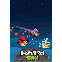 Мешок для обуви, Angry birds, CENTRUM