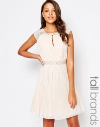 Короткое приталенное платье с декоративной отделкой Little Mistress Ta
