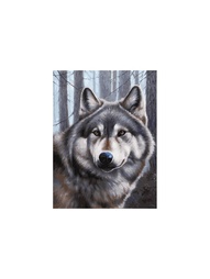 Наборы для рисования Белоснежка