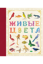 Живые цвета Росмэн