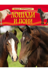 Лошади и пони Росмэн